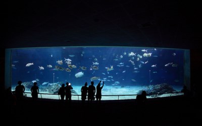 「國立海洋生物博物館」Blog遊記的精采圖片